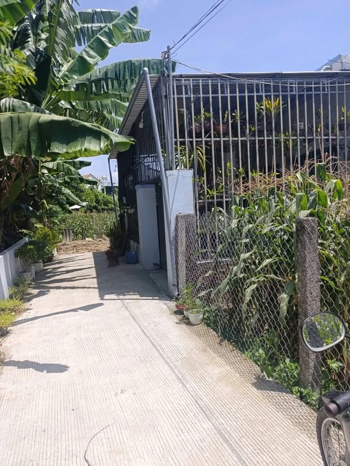 Bán lô đôi đất Nghĩa Dõng 248.5m² giá 1 tỷ 380 - Ảnh thu nhỏ 5