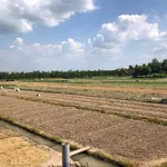Bán 8500m2 đất Bình Tân Vĩnh Long - 350tr/1000m2 - Ảnh thu nhỏ 3