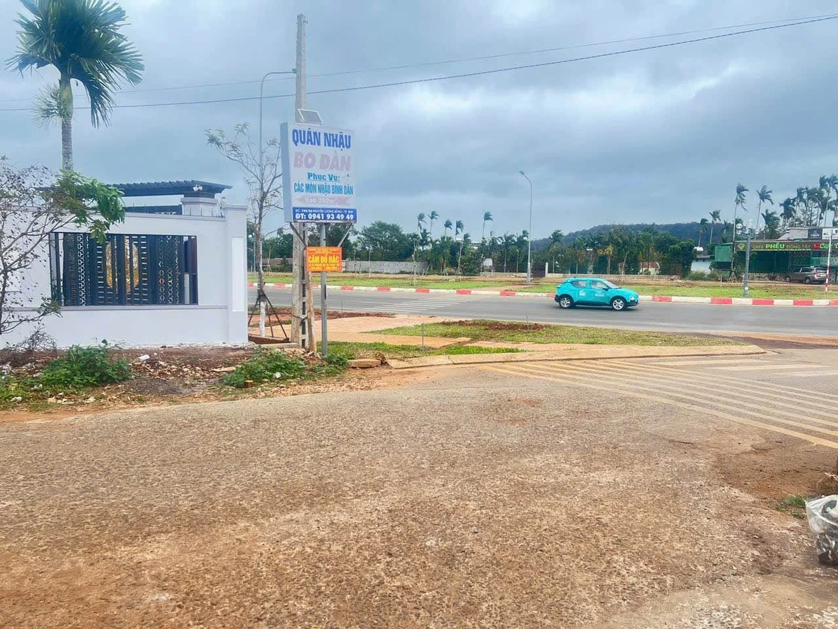 Bán đất hẻm Đại Lộ Đông Tây 230m² Bình Chánh - Ảnh thu nhỏ 2
