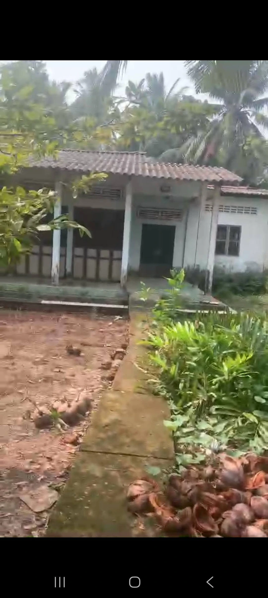 Bán đất mặt tiền 788m² Lương Phú, Vĩnh Long 1 tỷ - Ảnh 1