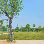 Bán đất khu đô thị Việt Trì 90m2, giá 3 tỷ - Ảnh thu nhỏ 1