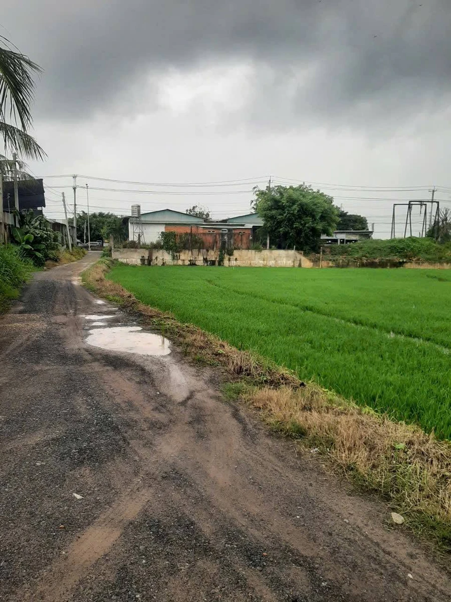 Bán 5.100m² đất 55m mặt tiền Tây Ninh 3,4 tỷ - Ảnh thu nhỏ 3
