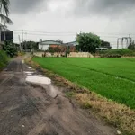 Bán 5.100m² đất 55m mặt tiền Tây Ninh 3,4 tỷ - Ảnh thu nhỏ 3