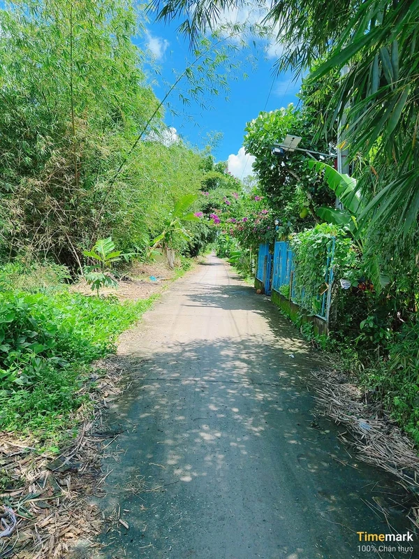 Bán đất 1000m² gần chợ Cây Dương, Phụng Hiệp