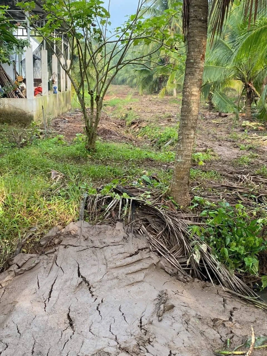 Bán đất vườn dừa 1100m2 Phú Tân Nhà Bè - Ảnh thu nhỏ 2
