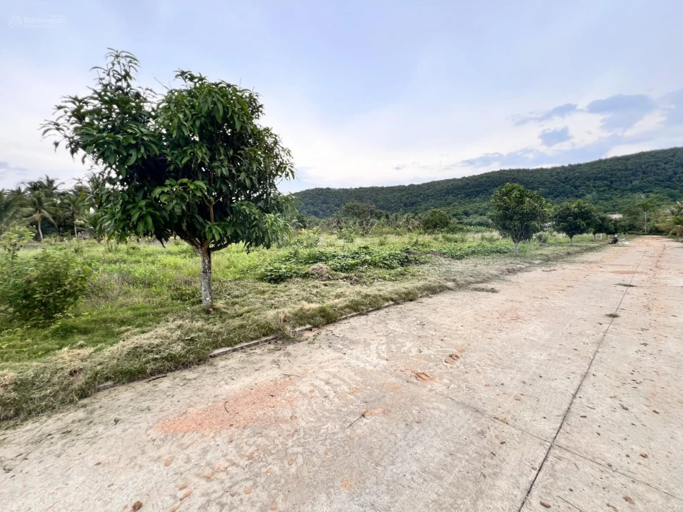 Bán đất 884m2 có thổ cư, khu Tượng Cửa Dương, sổ đỏ sẵn công chứng - Giá đầu tư - Ảnh 1