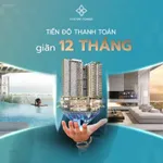 Hacom Tower căn hộ cao cấp. Giỏ hàng CĐT Studio, 1PN, 2PN, 3PN. Liên hệ PKD CĐT: 0937 979 *** - Ảnh thu nhỏ 33