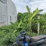 Bán nền đất 144.5m2 mặt tiền đường Đan Liên Tây Ninh - Ảnh thu nhỏ 5
