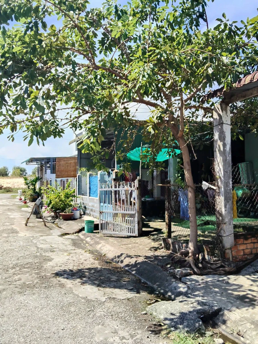Bán lô đất nền 75m² Triều Cường 2, Lagi, Bình Thuận - Ảnh thu nhỏ 2