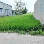 Bán đất 885m² mặt tiền hẻm Tân An Long An - Ảnh thu nhỏ 3