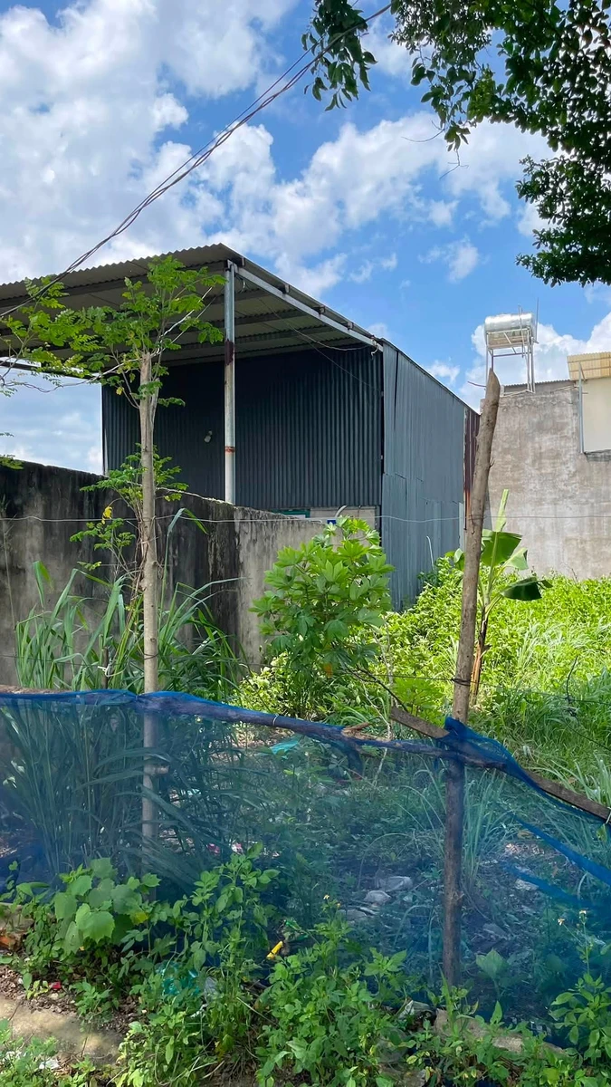 Bán đất 100m² tặng nhà cấp 4 Tam Phước Đồng Nai 550 triệu - Ảnh thu nhỏ 2