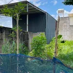 Bán đất 100m² tặng nhà cấp 4 Tam Phước Đồng Nai 550 triệu - Ảnh thu nhỏ 2