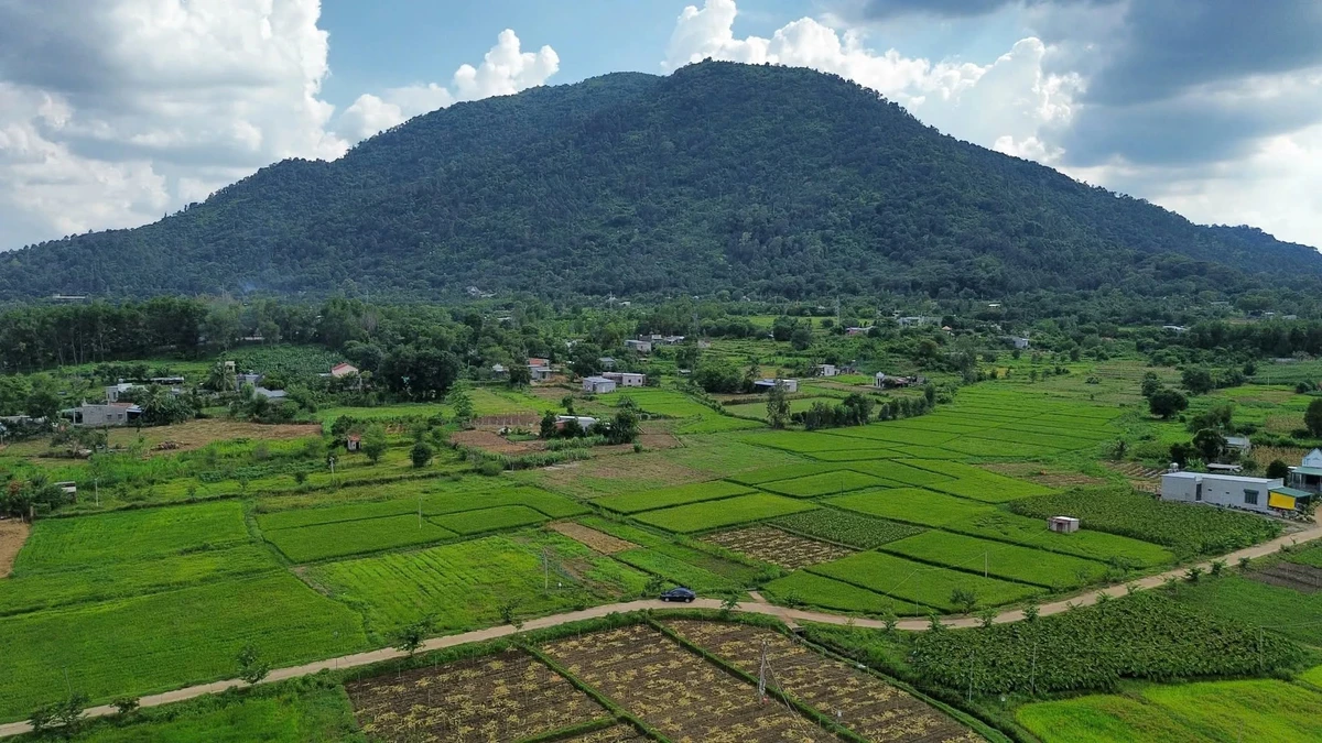 Bán đất mặt tiền Lò Than 148m² Đồng Nai 650 triệu - Ảnh thu nhỏ 3