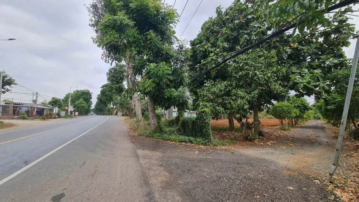 Bán đất mặt tiền Quốc Lộ 56, 540m², sổ sẵn - Ảnh thu nhỏ 2