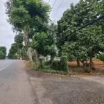 Bán đất mặt tiền Quốc Lộ 56, 540m², sổ sẵn - Ảnh thu nhỏ 2