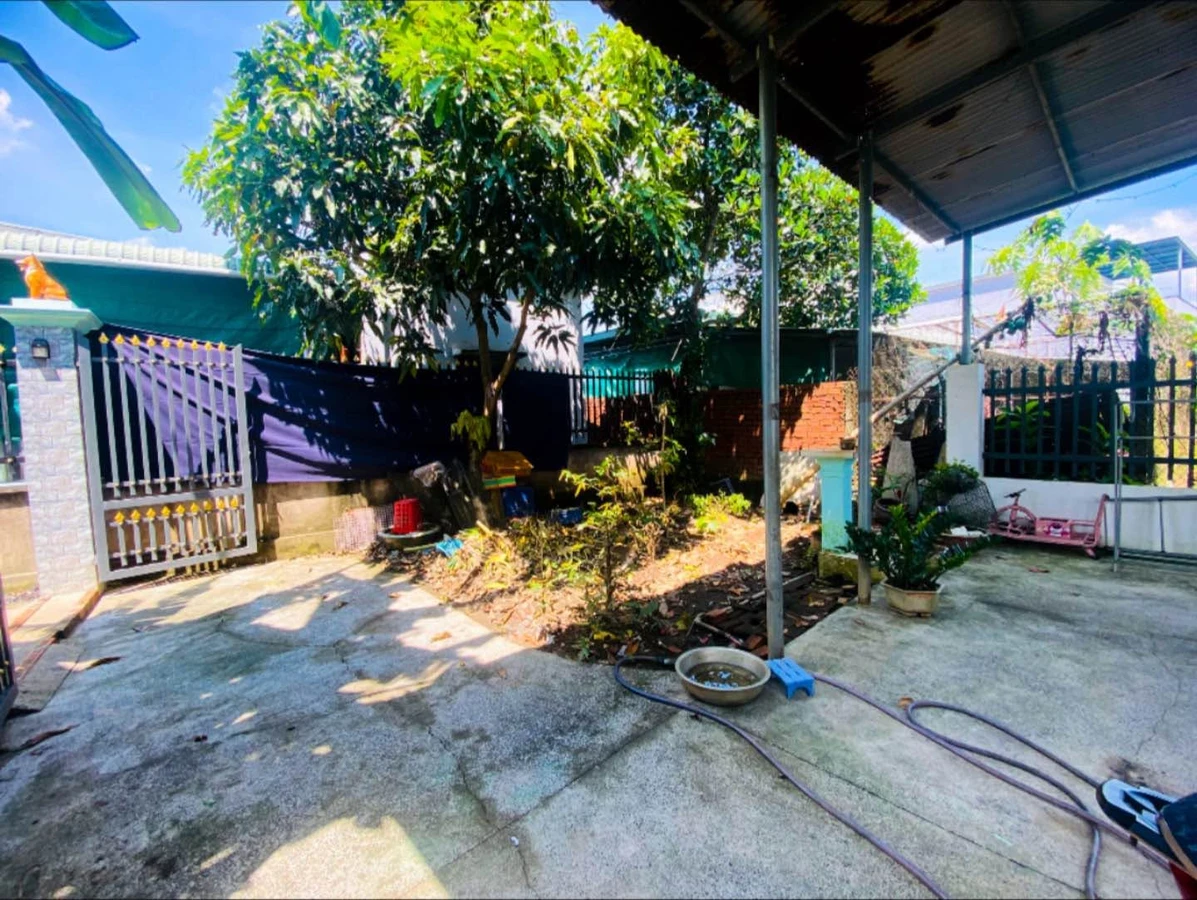 Bán nhà cấp 4 mới 277m2 sổ riêng Tân Triều, Tân Bình - Ảnh thu nhỏ 2