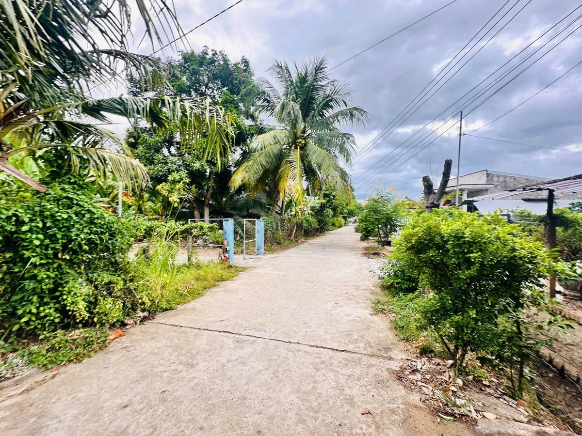 Bán đất 125m² Diên An Nhà Bè, 1 tỷ 600 - Ảnh thu nhỏ 3