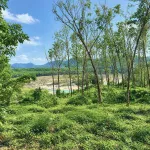 191.8m2 đất Bình Điền, cạnh bên Lake Ho, gần Ami Garden - Ảnh thu nhỏ 9