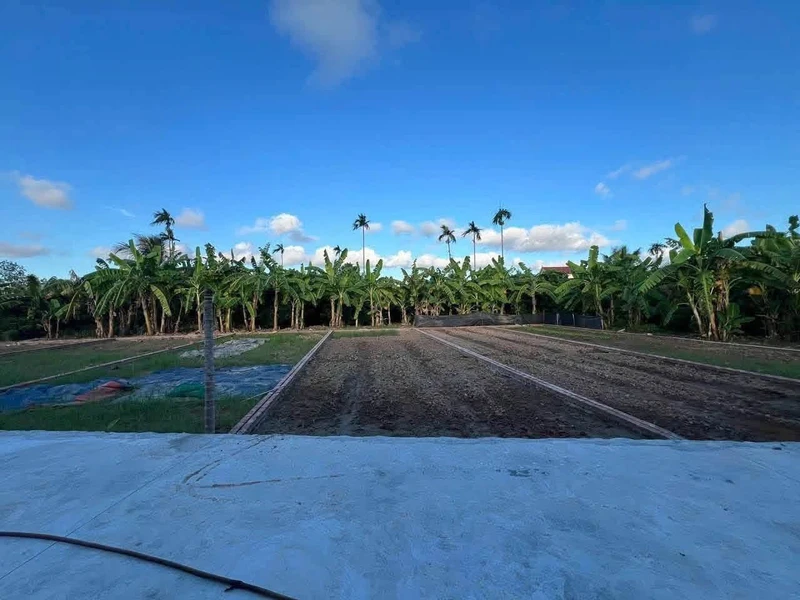 Bán đất 93m2 hơn 300 triệu tại Thanh Quang