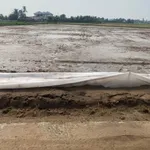 Bán đất thổ cư 5x23m (115m2) giá 395 triệu/lô tại xã Vàm Cỏ, Tây Ninh - Ảnh thu nhỏ 1