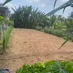 Bán nền đất 195m² mặt tiền Đê Tây Bình Chánh 550 triệu - Ảnh thu nhỏ 1
