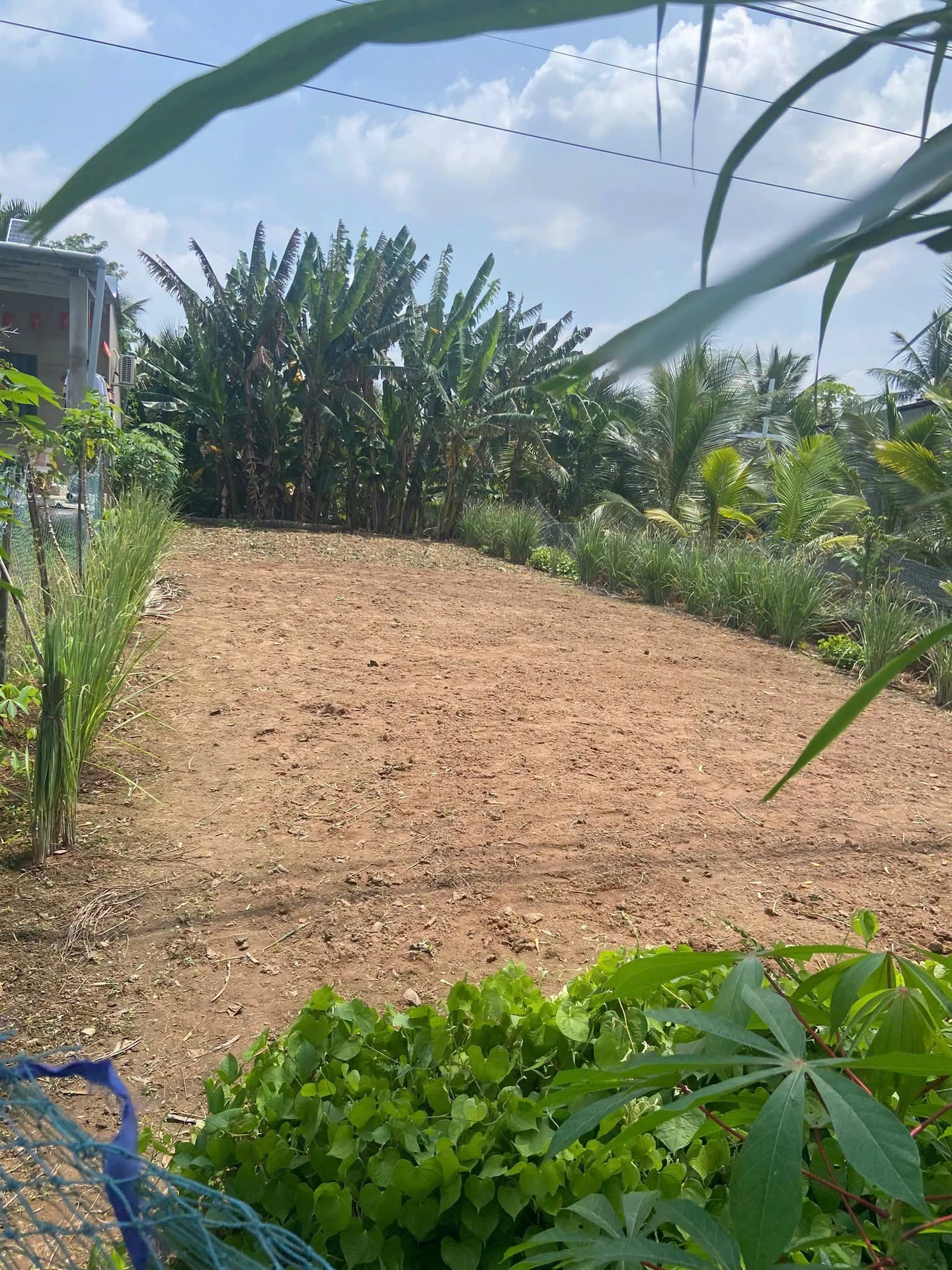 Bán nền đất 195m² mặt tiền Đê Tây Bình Chánh 550 triệu - Ảnh 1