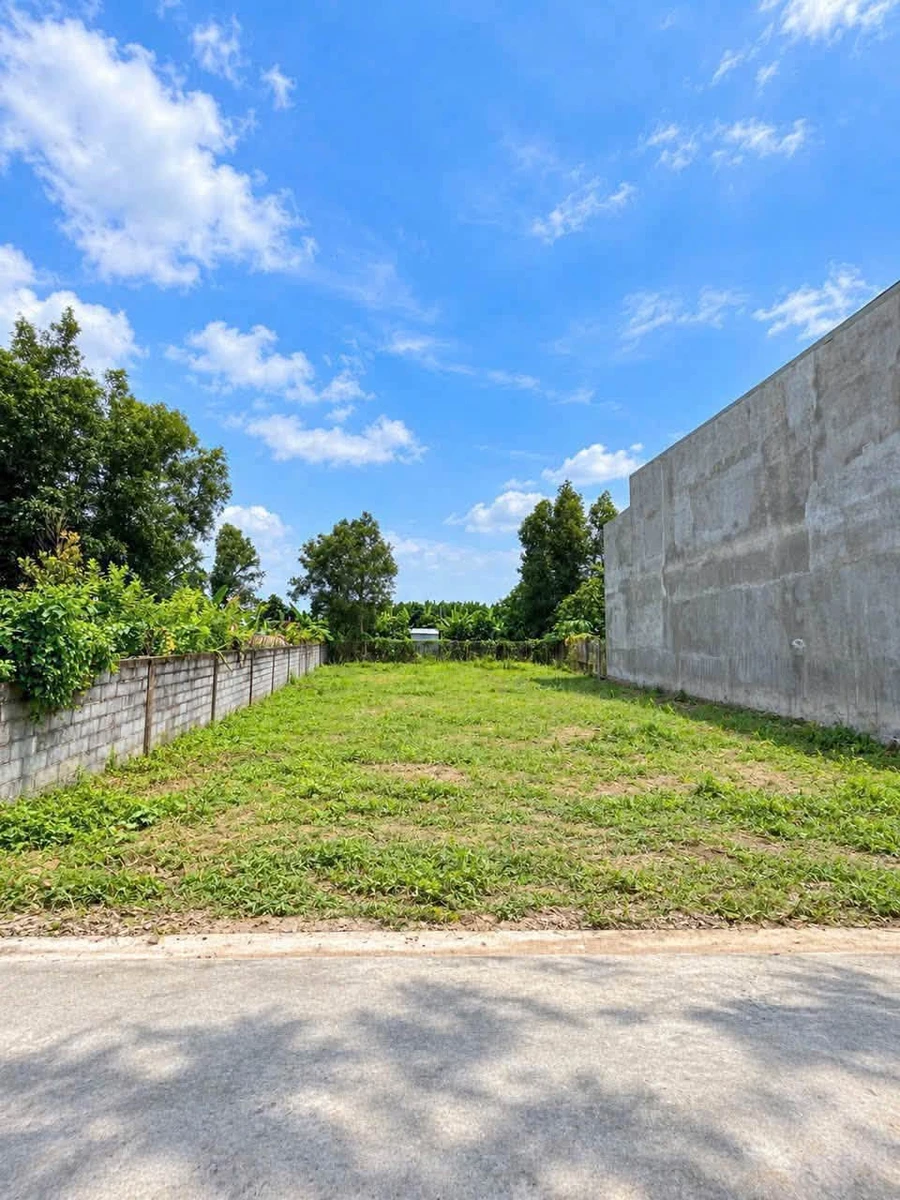 Bán đất 155m² Phường Tân Triều, Bình Chánh, giá 3 tỷ - Ảnh thu nhỏ 2