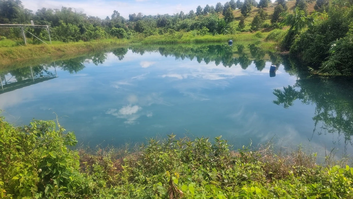 Bán đất 3,5ha xã Nghĩa Trung Đồng Nai 11 tỷ - Ảnh 1