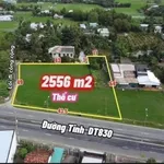 Bán đất mặt tiền Tỉnh Lộ 830, 2556m² Tây Ninh - Ảnh thu nhỏ 2