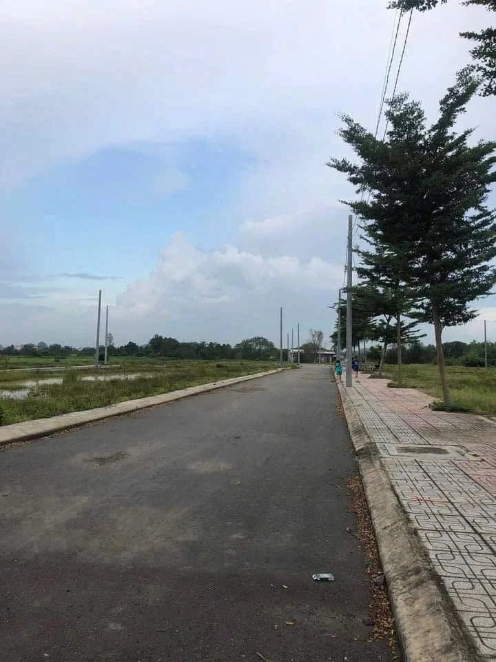 Bán nguyên block 10 nền đất thổ cư 80m2/nền tại Long Hưng, Biên Hòa - Ảnh thu nhỏ 3