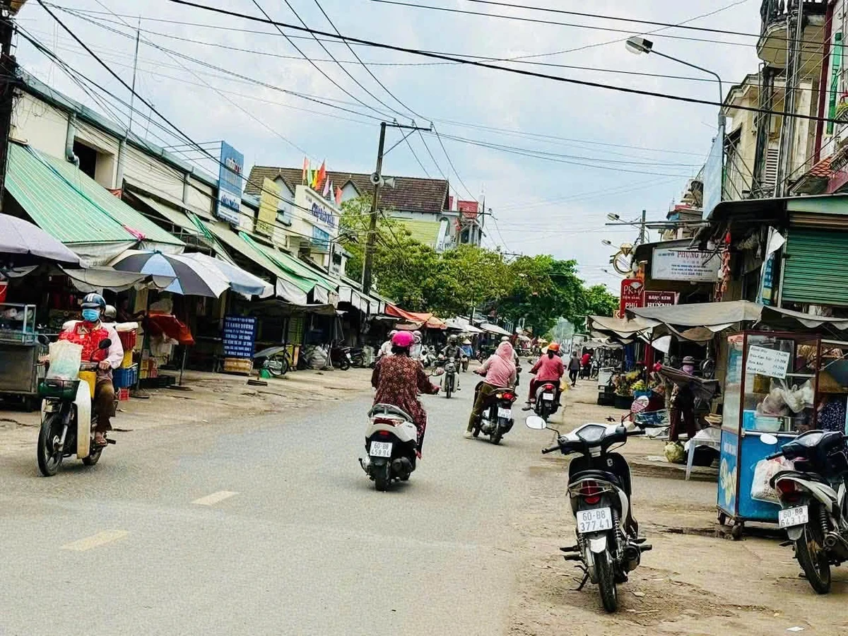 Bán đất vườn 3.475m² tại Bàu Hàm, Trảng Bom, Bình Dương - Ảnh thu nhỏ 5