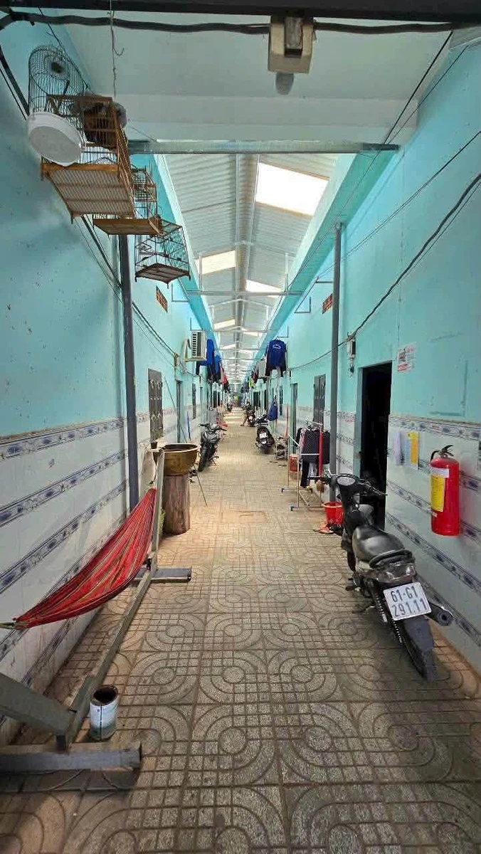Bán 2 dãy trọ 925m² với 56 phòng, Bắc Tân Uyên - Ảnh thu nhỏ 3