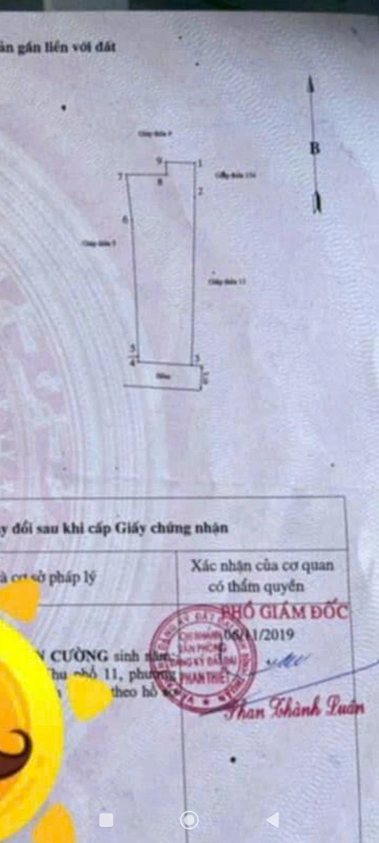 Bán nhà cấp 4 Thanh Hải Phan Thiết 146,8 m² - 1 tỷ 800 triệu - Ảnh thu nhỏ 3