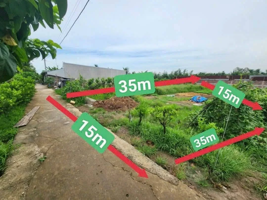 Bán nền đất vườn mặt tiền Lộ Đạl 15x35m Vĩnh Long, 650 triệu - Ảnh thu nhỏ 2