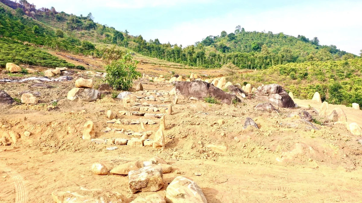 Bán đất 11.000m² (1,1ha) Lộc Thành Bảo Lộc 3,3 tỷ đồng - Ảnh thu nhỏ 2