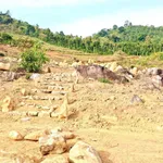 Bán đất 11.000m² (1,1ha) Lộc Thành Bảo Lộc 3,3 tỷ đồng - Ảnh thu nhỏ 2