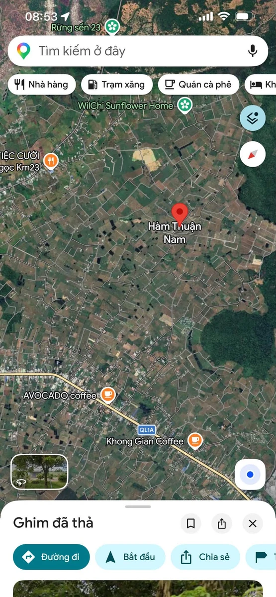 Bán đất vườn thanh long 6.2 sào tại Hàm Thuận Nam, giá 1.5 tỷ - Ảnh 1