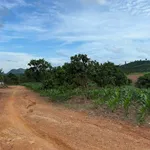 Bán 5 ha đất Đắk Lắk, 120 triệu/ha - Ảnh thu nhỏ 3
