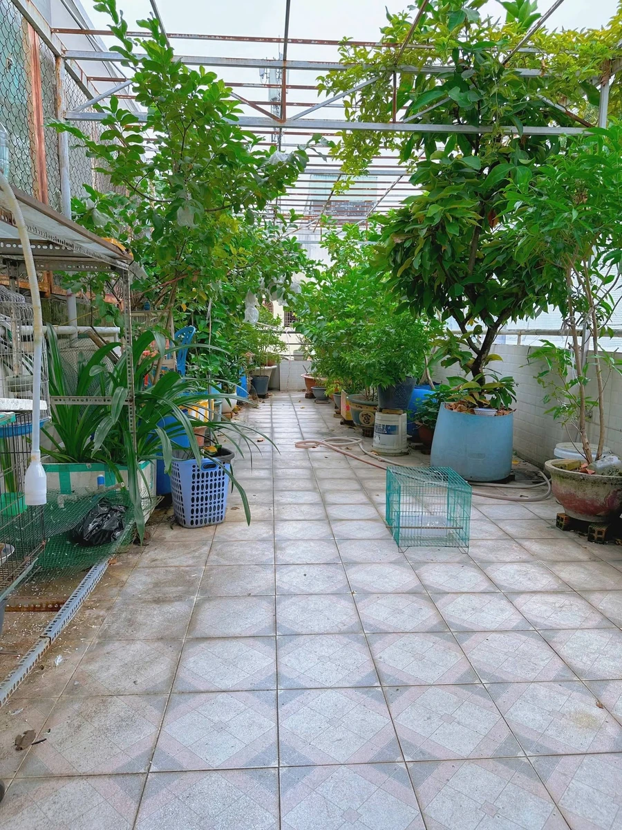 Bán nhà Gò Vấp 72m² 5PN, hẻm xe hơi, 9 tỷ - Ảnh thu nhỏ 2