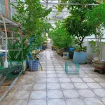 Bán nhà Gò Vấp 72m² 5PN, hẻm xe hơi, 9 tỷ - Ảnh thu nhỏ 2