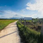 Bán đất nền Ninh Trung 5x26m 275 triệu Khánh Hòa - Ảnh thu nhỏ 2
