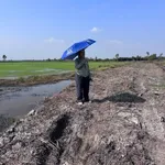 Bán đất vườn 15.000 m² xã Mỹ Thạnh, Long An - Ảnh thu nhỏ 2