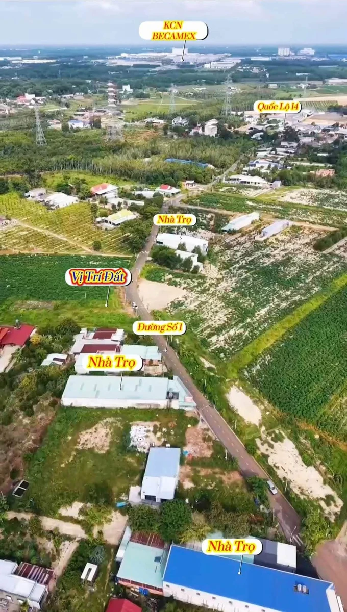 Bán đất Nhà Bè 1269m2 mặt tiền nhựa 1 tỷ 5 - Ảnh thu nhỏ 4