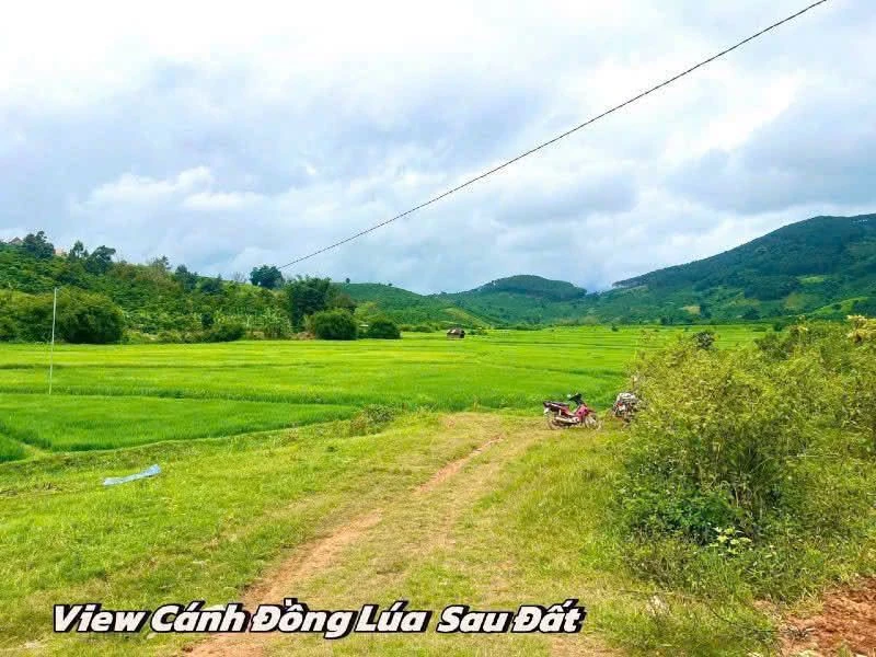 Bán đất nền biệt thự 320m² Di Linh, Lâm Đồng