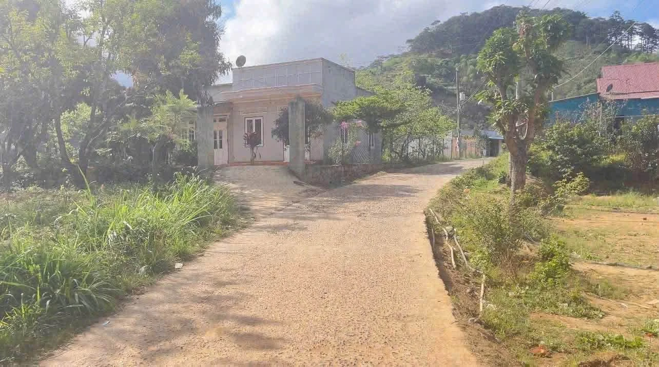 Bán lô đất 884 m² sẵn thổ cư, view đẹp ở Lâm Đồng - Ảnh 1