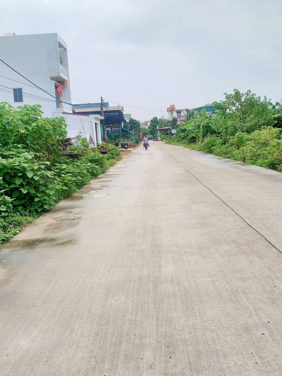 Bán đất giãn dân Ngọc Cục Hải Phòng 100m² 1 tỷ 4 - Ảnh 1