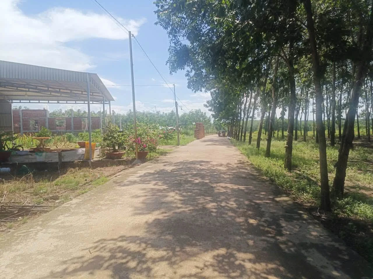 Bán đất Chơn Thành Bình Phước 205m2 420 triệu - Ảnh 1
