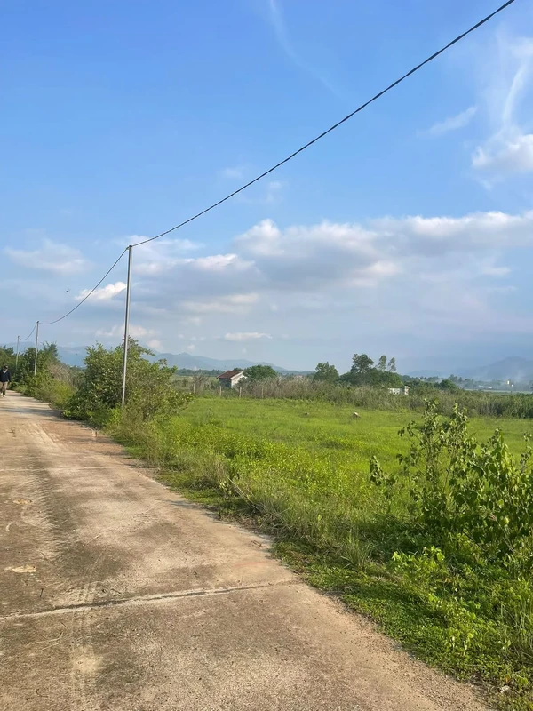 Bán 2,5ha đất Diên Lâm, Khánh Hòa – 5,5 tỷ