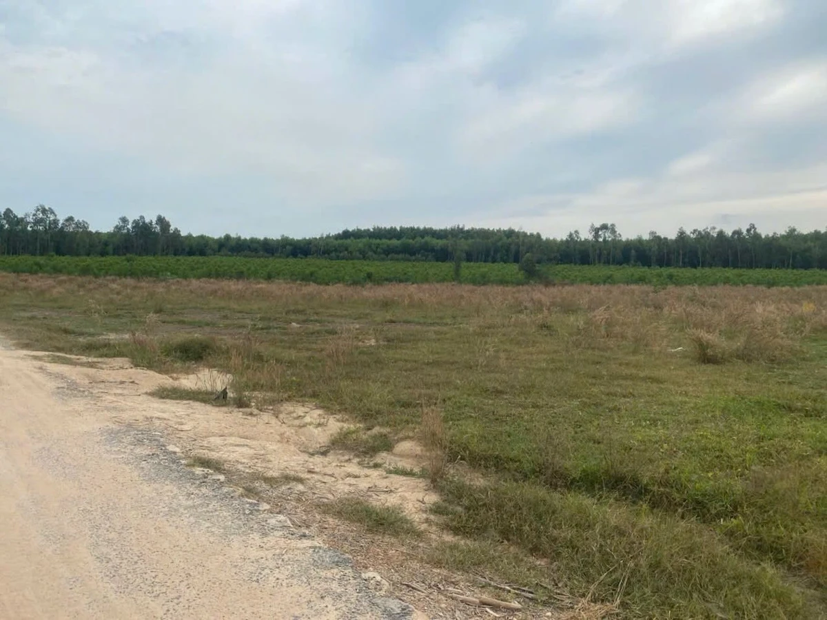 Bán đất sào 2000m² mặt đường Lê Đức Thọ Lagi, 750 triệu - Ảnh thu nhỏ 4