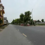 Bán lô đất mặt đường Thống Kênh - Gia Lộc 85m2 - Ảnh thu nhỏ 1